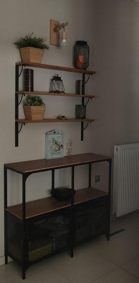 Museum Apartment Golos Dış mekan fotoğraf